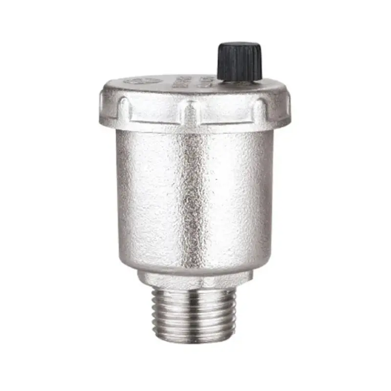 Van xả khí inox DN25